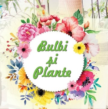 BULBI ȘI PLANTE SRL