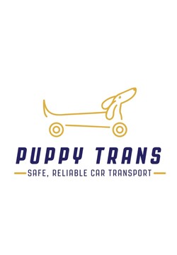 ПУПИ ТРАНС - ЕООД